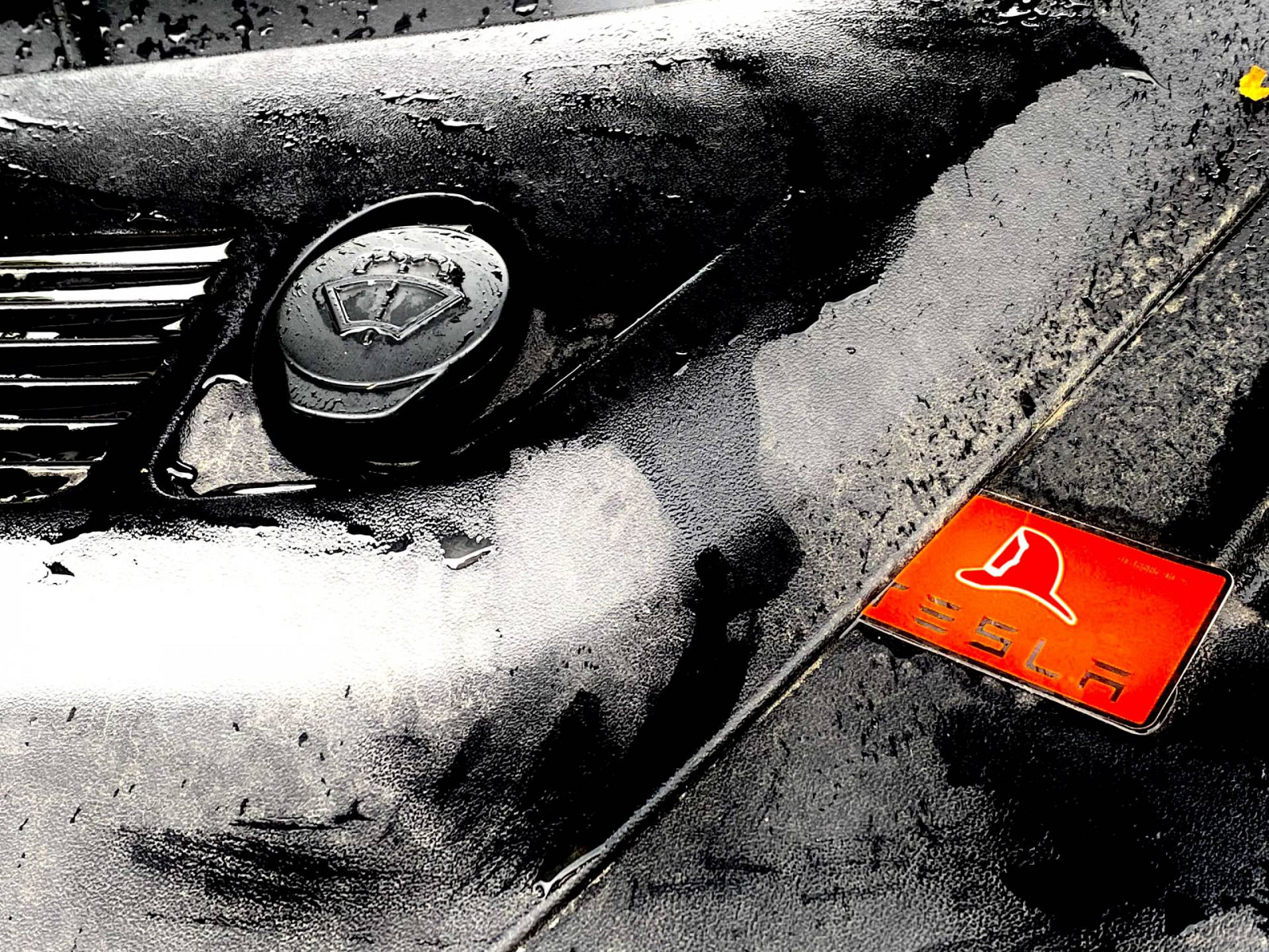 EV-Team Autoservice van der Roest